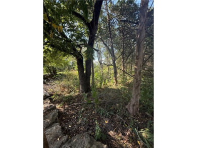 Build your dream home on this .46-acre lot in the desirable on Holiday Island Executive Golf Course in Arkansas - for sale on GolfHomes.com, golf home, golf lot