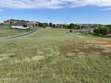 A very nice , mostly level, lot on the quiet North Section of on Rarity Bay Country Club - Loudon in Tennessee - for sale on GolfHomes.com, golf home, golf lot