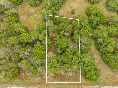 BUILDERS! Purchase 40 individual lots inside the sought-after on White Bluff Resort - Old Course in Texas - for sale on GolfHomes.com, golf home, golf lot