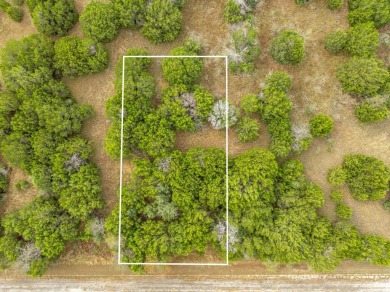 BUILDERS! Purchase 40 individual lots inside the sought-after on White Bluff Resort - Old Course in Texas - for sale on GolfHomes.com, golf home, golf lot