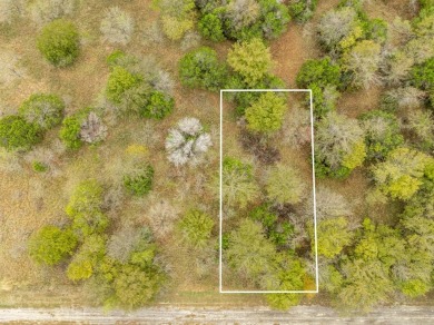 BUILDERS! Purchase 40 individual lots inside the sought-after on White Bluff Resort - Old Course in Texas - for sale on GolfHomes.com, golf home, golf lot