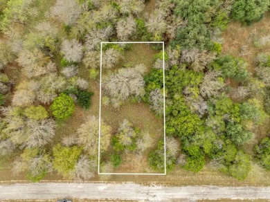 BUILDERS! Purchase 40 individual lots inside the sought-after on White Bluff Resort - Old Course in Texas - for sale on GolfHomes.com, golf home, golf lot