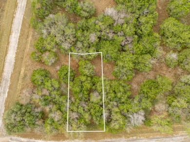 BUILDERS! Purchase 40 individual lots inside the sought-after on White Bluff Resort - Old Course in Texas - for sale on GolfHomes.com, golf home, golf lot
