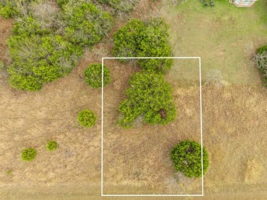 BUILDERS! Purchase 40 individual lots inside the sought-after on White Bluff Resort - Old Course in Texas - for sale on GolfHomes.com, golf home, golf lot