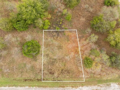 BUILDERS! Purchase 40 individual lots inside the sought-after on White Bluff Resort - Old Course in Texas - for sale on GolfHomes.com, golf home, golf lot