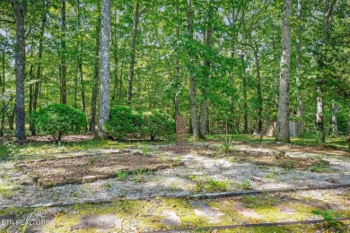 Updated 3-Bedroom Retreat in Prime Fairfield Glade Location

 on Druid Hills Golf Club in Tennessee - for sale on GolfHomes.com, golf home, golf lot