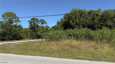 Corner site In Rapidly Growing Area Of Lehigh Acres. Size Close on Lehigh Resort Club in Florida - for sale on GolfHomes.com, golf home, golf lot