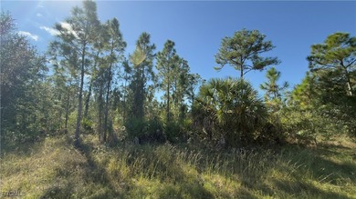 Land for sale in Lehigh Acres, Florida, in a rapidly growing on Lehigh Resort Club in Florida - for sale on GolfHomes.com, golf home, golf lot