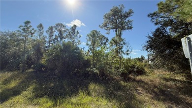 Land for sale in Lehigh Acres, Florida, in a rapidly growing on Lehigh Resort Club in Florida - for sale on GolfHomes.com, golf home, golf lot