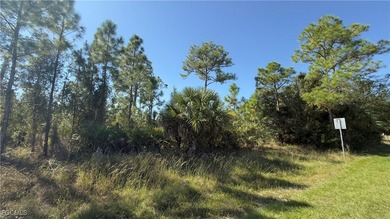 Land for sale in Lehigh Acres, Florida, in a rapidly growing on Lehigh Resort Club in Florida - for sale on GolfHomes.com, golf home, golf lot