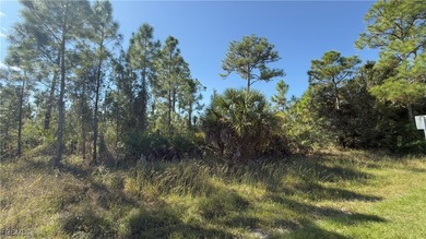 Land for sale in Lehigh Acres, Florida, in a rapidly growing on Lehigh Resort Club in Florida - for sale on GolfHomes.com, golf home, golf lot