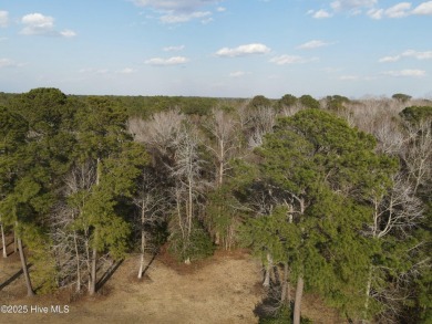 Live the Magnolia Greens lifestyle in this well maintained all on Magnolia Greens Golf Plantation in North Carolina - for sale on GolfHomes.com, golf home, golf lot