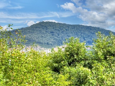 This charming 3BR/3BA RANCH HOME offers year-round MOUNTAIN on White Path Golf Club in Georgia - for sale on GolfHomes.com, golf home, golf lot
