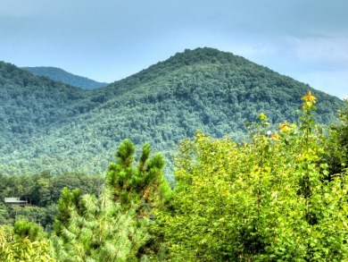 This charming 3BR/3BA RANCH HOME offers year-round MOUNTAIN on White Path Golf Club in Georgia - for sale on GolfHomes.com, golf home, golf lot