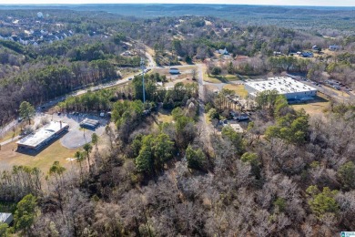 INVESTORS, TAKE A LOOK! Just 8 minutes from Highway 150  3 on Robert Trent Jones - Oxmoor Valley Golf Course in Alabama - for sale on GolfHomes.com, golf home, golf lot