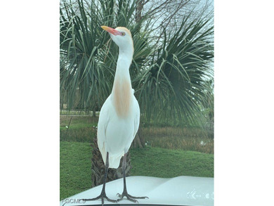 This Fresh, Sleek, Contemporary, 3 Bedroom, 2 Full Bath with on The Forest Country Club in Florida - for sale on GolfHomes.com, golf home, golf lot