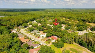 Relocation forces sale! Easy to show and immediate occupancy if on Tarpon Woods Golf Club in Florida - for sale on GolfHomes.com, golf home, golf lot