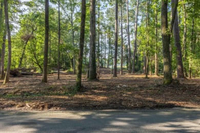 Rare opportunity to build your dream home on the golf course in on Houndslake Country Club in South Carolina - for sale on GolfHomes.com, golf home, golf lot