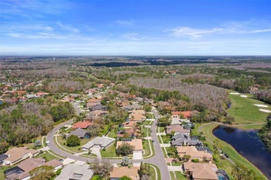 ~Gorgeous, bright, and spacious 4-bedrooms with an office, 3 on East Lake Woodlands Country Club in Florida - for sale on GolfHomes.com, golf home, golf lot