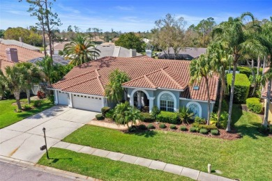 ~Gorgeous, bright, and spacious 4-bedrooms with an office, 3 on East Lake Woodlands Country Club in Florida - for sale on GolfHomes.com, golf home, golf lot