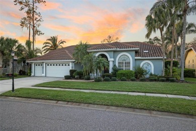 ~Gorgeous, bright, and spacious 4-bedrooms with an office, 3 on East Lake Woodlands Country Club in Florida - for sale on GolfHomes.com, golf home, golf lot