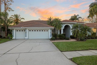 ~Gorgeous, bright, and spacious 4-bedrooms with an office, 3 on East Lake Woodlands Country Club in Florida - for sale on GolfHomes.com, golf home, golf lot