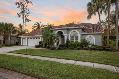 ~Gorgeous, bright, and spacious 4-bedrooms with an office, 3 on East Lake Woodlands Country Club in Florida - for sale on GolfHomes.com, golf home, golf lot