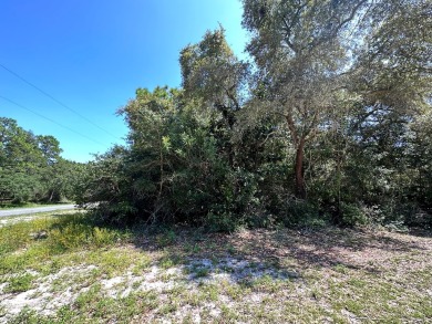 Here is your opportunity to own a beautiful lot in Lanark on St. James Bay in Florida - for sale on GolfHomes.com, golf home, golf lot