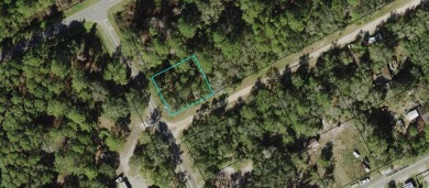 Here is your opportunity to own a beautiful lot in Lanark on St. James Bay in Florida - for sale on GolfHomes.com, golf home, golf lot