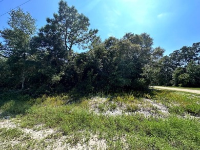 Here is your opportunity to own a beautiful lot in Lanark on St. James Bay in Florida - for sale on GolfHomes.com, golf home, golf lot