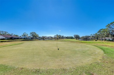 Resort Style Living in The Meadows. Recent Price Reduction. This on The Meadows Golf and Country Club in Florida - for sale on GolfHomes.com, golf home, golf lot