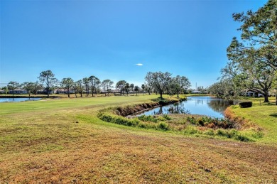 Resort Style Living in The Meadows. Recent Price Reduction. This on The Meadows Golf and Country Club in Florida - for sale on GolfHomes.com, golf home, golf lot