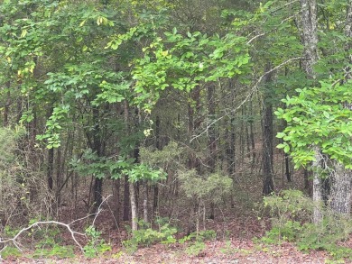 Welcome to your own slice of paradise in beautiful Fairfield Bay on Indian Hills Country Club in Arkansas - for sale on GolfHomes.com, golf home, golf lot