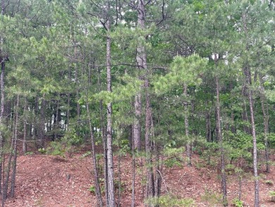 Welcome to your own slice of paradise in beautiful Fairfield Bay on Indian Hills Country Club in Arkansas - for sale on GolfHomes.com, golf home, golf lot