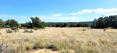 This Huerfano County property has fabulous panoramic vistas with on Indian Peaks Golf Course in Colorado - for sale on GolfHomes.com, golf home, golf lot