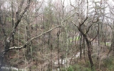 Stunning Property- One-of-a-Kind 1.4 acres overlooking on Heatherhurst Golf Course in Tennessee - for sale on GolfHomes.com, golf home, golf lot