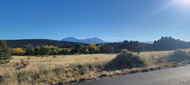 This Huerfano County property has fabulous panoramic vistas with on Walsenburg Golf Club in Colorado - for sale on GolfHomes.com, golf home, golf lot