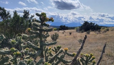 This Huerfano County property has fabulous panoramic vistas with on Walsenburg Golf Club in Colorado - for sale on GolfHomes.com, golf home, golf lot