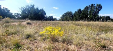 This Huerfano County property has fabulous panoramic vistas with on Walsenburg Golf Club in Colorado - for sale on GolfHomes.com, golf home, golf lot