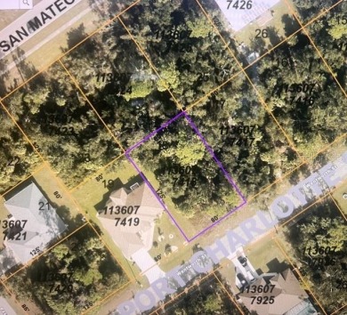 Don't miss out on an incredible opportunity to build your dream on Bobcat Trail Golf Club in Florida - for sale on GolfHomes.com, golf home, golf lot