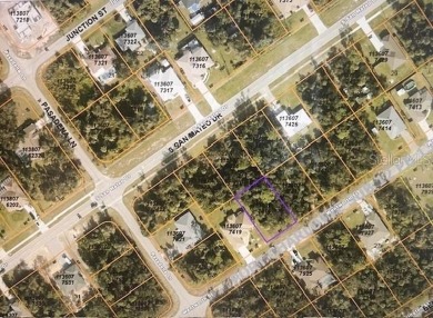 Don't miss out on an incredible opportunity to build your dream on Bobcat Trail Golf Club in Florida - for sale on GolfHomes.com, golf home, golf lot