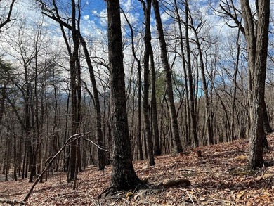 Price Improvement for 2026! This 1.21 acre lot is located on a on Bent Tree Golf Course in Georgia - for sale on GolfHomes.com, golf home, golf lot