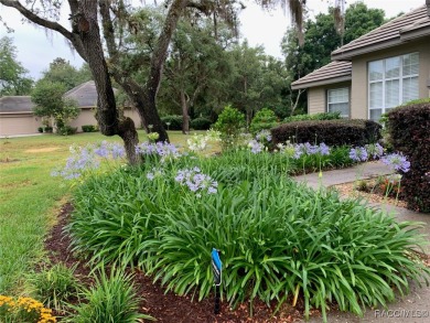 Welcome to Black Diamond Ranch - A Premier Golf Community with on Black Diamond Ranch Golf Course in Florida - for sale on GolfHomes.com, golf home, golf lot
