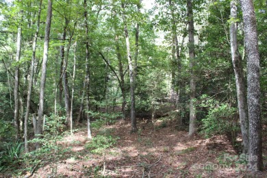 Great opportunity for future development or a private estate on on Brushy Mountain Golf Course in North Carolina - for sale on GolfHomes.com, golf home, golf lot