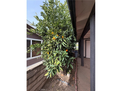 Welcome to 10500 Frontier Trail, a beautifully spacious home on Morongo Golf Club at Tukwet Canyon in California - for sale on GolfHomes.com, golf home, golf lot