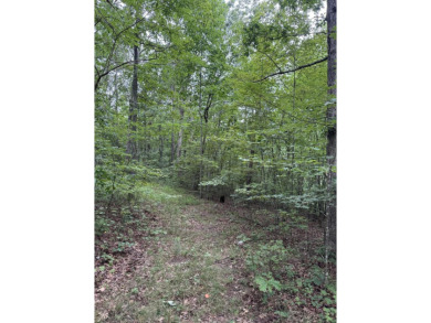 Come get lost from the busy hustle and bustle of city life for a on McLemore Golf Club in Georgia - for sale on GolfHomes.com, golf home, golf lot