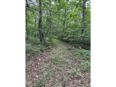 Come get lost from the busy hustle and bustle of city life for a on McLemore Golf Club in Georgia - for sale on GolfHomes.com, golf home, golf lot