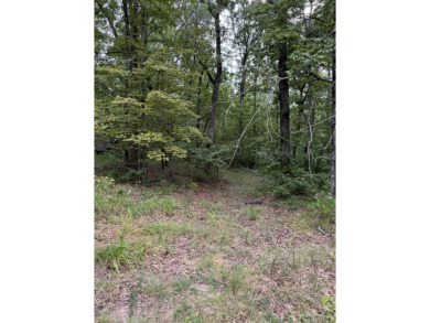 Come get lost from the busy hustle and bustle of city life for a on McLemore Golf Club in Georgia - for sale on GolfHomes.com, golf home, golf lot