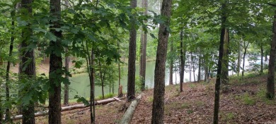 Huge 3/4 Acre WATERFRONT LOT on Lake Granada! Great Building Lot on Granada Golf Course in Arkansas - for sale on GolfHomes.com, golf home, golf lot