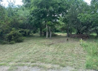 White Bluff is a beautiful community on white limestone cliffs on White Bluff Resort - New Course in Texas - for sale on GolfHomes.com, golf home, golf lot